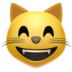 苹果系统里的笑眯眯的猫emoji表情