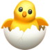 苹果系统里的孵化的小鸡emoji表情