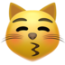 苹果系统里的亲亲的猫emoji表情