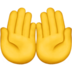 苹果系统里的手掌向上emoji表情