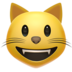 苹果系统里的笑脸猫emoji表情