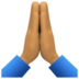 Facebook上的双手合十、祈祷的手：中等肤色emoji表情