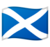 安卓系统里的旗帜：苏格兰emoji表情