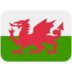 Twitter里的旗帜：威尔士emoji表情