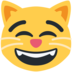 Twitter里的笑眯眯的猫emoji表情