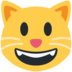 Twitter里的笑脸猫emoji表情