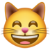 WhatsApp里的笑眯眯的猫emoji表情