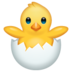 WhatsApp里的孵化的小鸡emoji表情