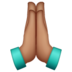 WhatsApp里的双手合十、祈祷的手：中等肤色emoji表情