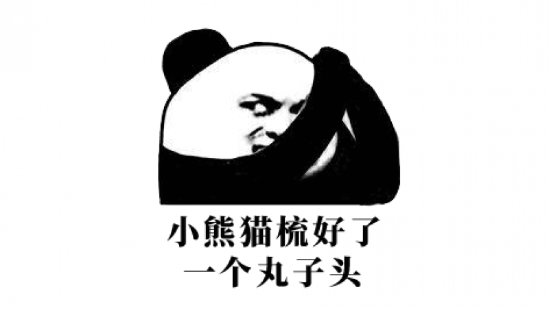 奇怪的小熊猫  熊猫头表情包